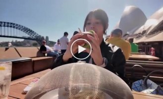 Девушка показала, зачем в кафе используют сетчатые крышки для еды