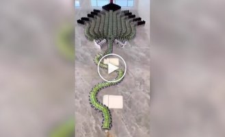 Залипательное видео