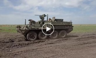 Американські БТР M1132 Stryker з RWS M151 Protector на полігоні