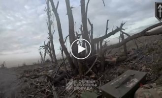 Through the eyes of a GoPro on the helmet of a Ukrainian military man near Bakhmut