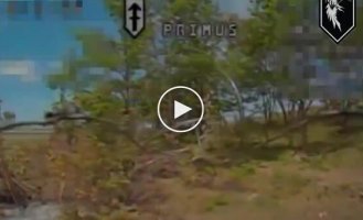 Fun for Russian occupiers, hiding behind a tree from a drone