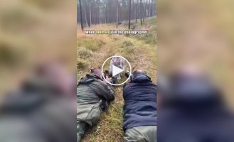 Подборка моментов, когда дикие животные подошли к фотографам слишком близко