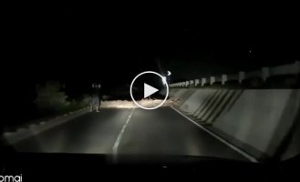 Вміння їздити заднім ходом може врятувати життя