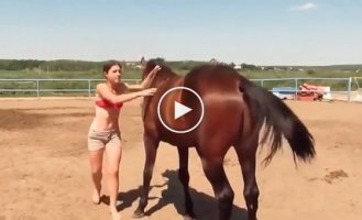 A horse helped a girl climb on its back