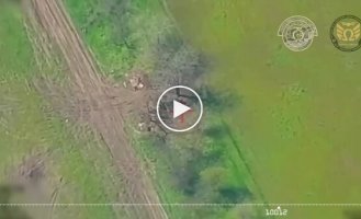 Оператори FPV-дронів Крила Омеги знищили російську гаубицю Д-20