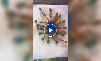 Нестандартное развлечение для тех, кому скучно