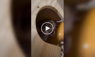 Простое ежиное счастье