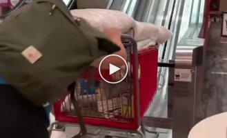 Escalator for grocery carts