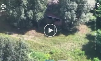 Border guards destroyed two shelters and eliminated three occupiers in the Severo-Slobozhansk direction