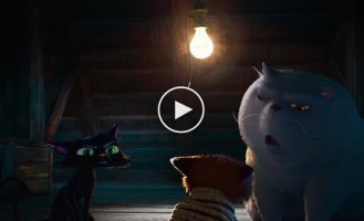 Whiskered Don Corleone: Pixar will turn the Venetian mafia into a cat shelter for debtors