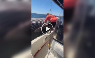 Рыбаки забрались на тушу кита