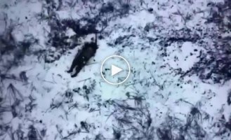 Ukrainian drone drops FOGs on Russian military in the Bakhmut area