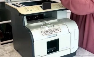 A new miracle invention - a cat printer