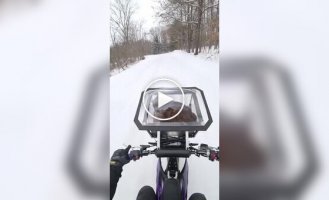 The biker showed off his winter walk with his cat, and it’s great