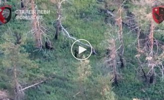 Бойцы 63 ОМБр ликвидировали оккупантов, которые пытались замаскироваться с помощью антидроновых плащей