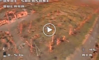 Operators of the BULAVA unit destroyed an occupying tank using Wild Hornets drones