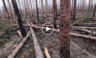 Fragments of the combat work of Ukrainian MTR fighters in the Kremensky forest