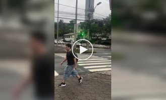 Капибары гуляют по улицам бразильского города