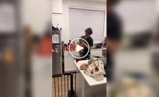 A cat defended a stolen chicken to the last