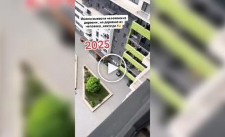 В одном из ЖК девушка завела курятник прямо у себя на балконе