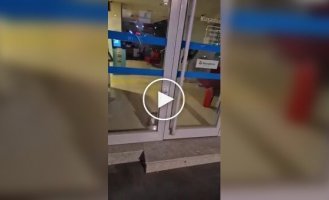 In Turkey, police arrived at a "robbery" "bank" - but instead of criminals, a cat was found.