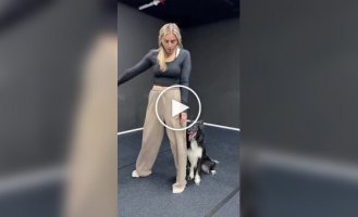 Собака идеально влилась в танец своей хозяйки