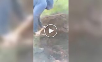 Російського військового соратники закопали по шию в землю за невиконання наказу
