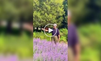 Повелитель бабочек