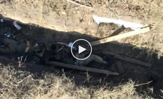 Ukrainian drone finishes off Russian military in the Zaporozhye direction