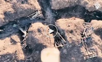 Ukrainian drones drop their grenades on the invaders and quite accurately