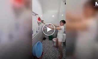 Во Вьетнаме змея заползла в ванную и обвилась вокруг одежды