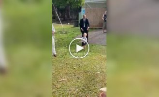 Кольца с доставкой