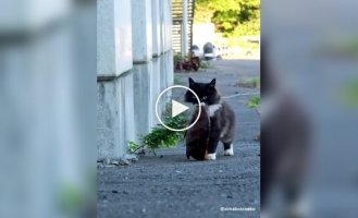 Когда добыча большая, а доверия к окружающим нет
