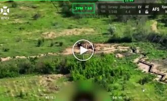 Пограничники уничтожили российские буханки, пушку Д-30, ликвидировали пехоту на Харьковщине