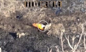 Operators of the Morana team unit using kamikaze drones destroy invaders near the village of Stepnoye in the Donetsk region