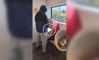 Новозеландский музыкальный туалет