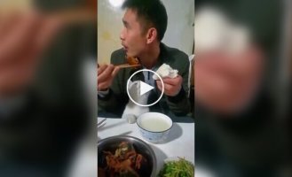 Вороватые кошки и коты