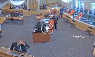 Mass brawl in a US courthouse