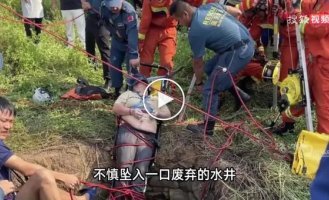 Китаянка упала в старый колодец со змеями и провисела там, держась за стену, прежде чем ее спасли