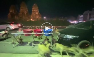 Monkey army flee from fireworks