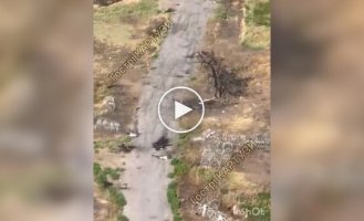 Півсотні тіл ліквідованих окупантів валяються на короткому шматку асфальтованої дороги поблизу Покровська.