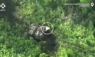 Border guards destroyed dugouts, an infantry fighting vehicle, enemy drones, a mortar position, an antenna and a UAV control center
