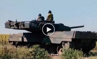 Ukrainian tank Leopard-2 operates in the Zaporozhye region