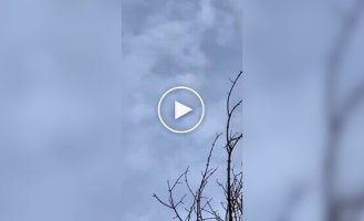 Бійці з землі знімають атаку зенітного дрона на російський БПЛА Гербера
