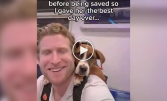 Блогер придумал необычный способ помогать бездомным собакам находить хозяев