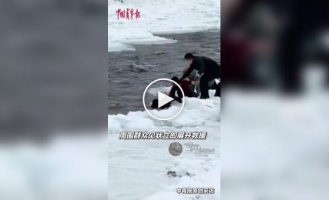 Rescuing Chinese tourists from the icy waters of a mountain river