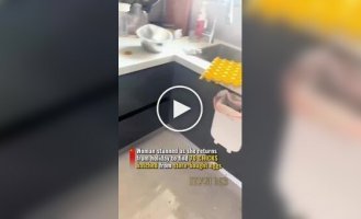 Eggs for breakfast can also have a catch: a resident of China bought three dozen eggs, and received chickens