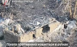Воїни 5 ОШБр знищують російських піхотинців у укриттях на Покровському напрямку