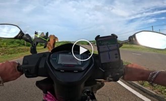 Найкращі кадри, зняті на GoPro в 2025 році