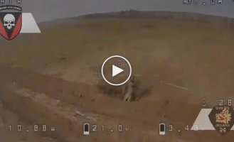 An occupier tries in vain to destroy a Ukrainian UAV with an anti-drone stone